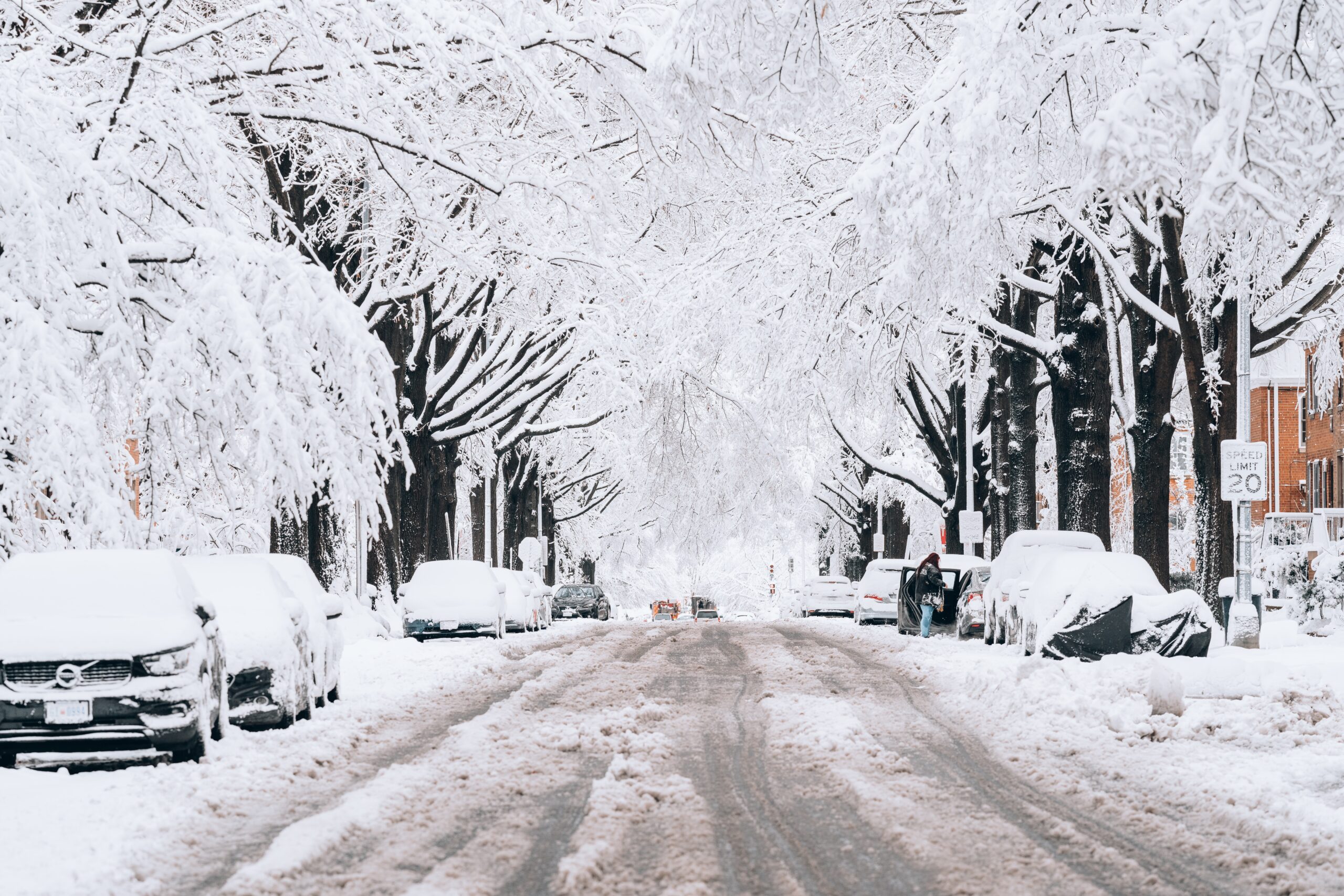 Eco Friendly Road Salt Alternative